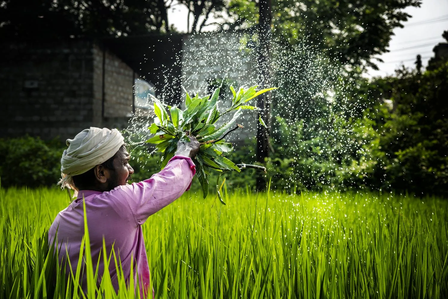 Smallholder Farmer Sustainable Livelihood Assets | 16:10